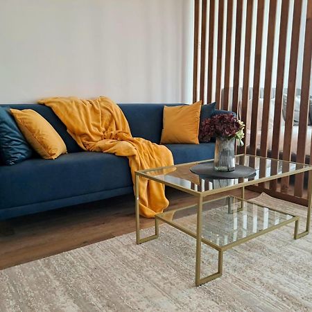 Mountain Breeze Luxury Apartment Ac & Parcare Privata Брашов Экстерьер фото
